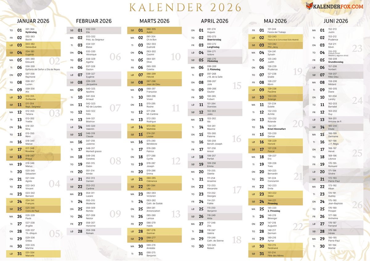 Gul-guld æstetik - Januar til Juni 2026